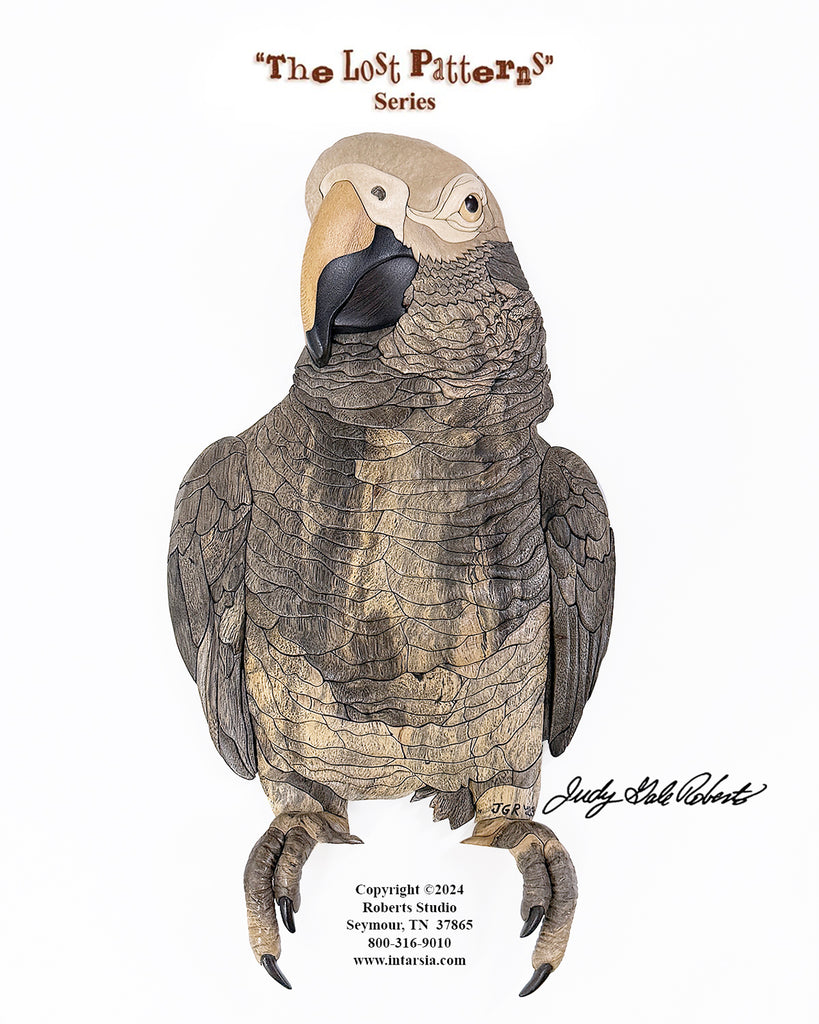 #LP-11  AFRICAN GREY