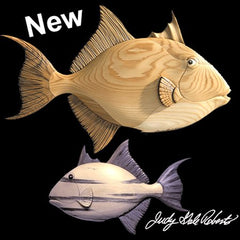 ct-23-triggerfish-