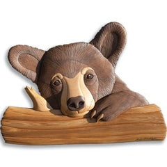 ctp-16-black-bear-cub-