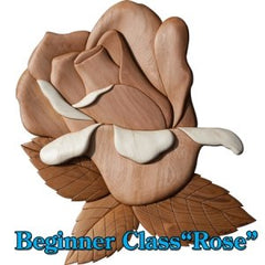 ctp-18-rose-137824_medium.jpg?