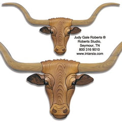 テキサスロングホーン 放送内容｜ルーツを歩こう｜KBC九州朝日放送