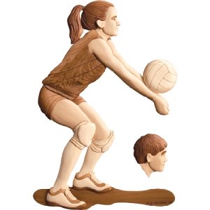 #product_I-256 Volley Ballname# - intarsia.com