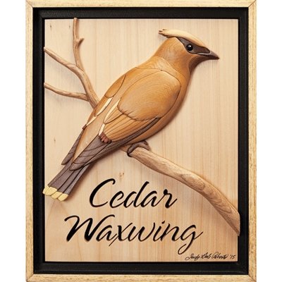 #product_I-348 Cedar Waxwingname# - intarsia.com
