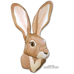 Rabbit i-371-jack-rabbit-