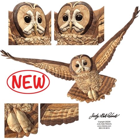 #product_+II-25 Tawny Owl Flightname# - intarsia.com